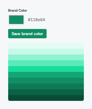 The Brand Color setting with its swatch, hex value, and the derived colour ramp